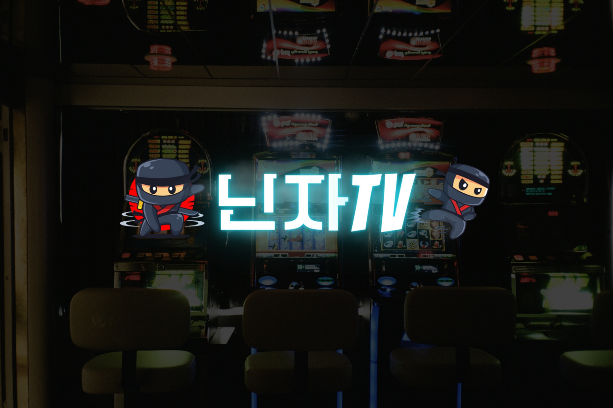 닌자티비 이용 전 꼭 알아야 할 꿀정보